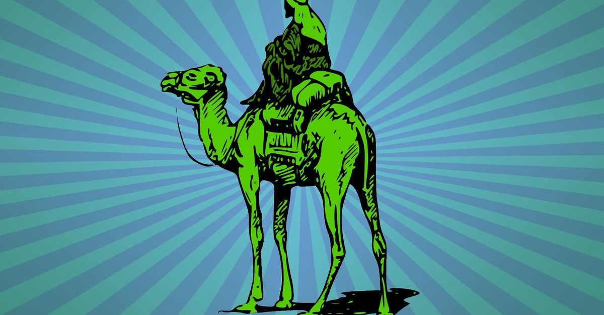 HALOO featured artwork